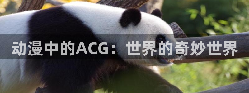 哔咔漫画app在线下载