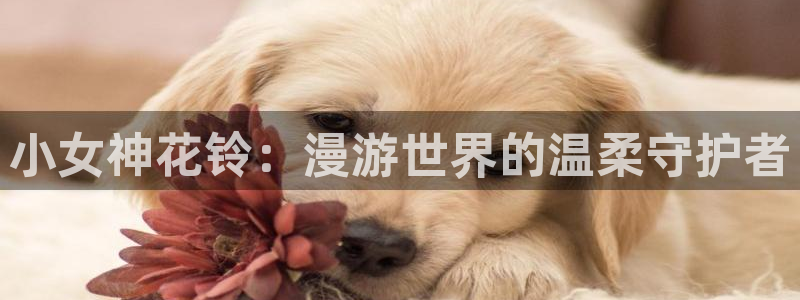 哔咔漫画公用账号