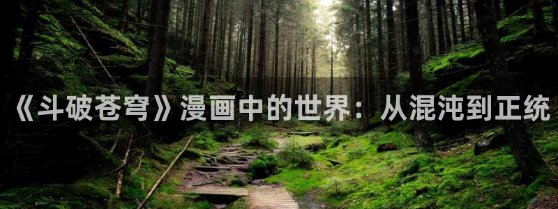 哔咔漫画苹果版：《斗破苍穹》漫画中的世界：从混沌到正统